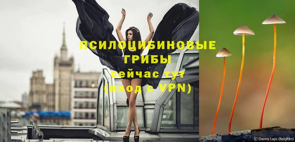 дмт Осташков