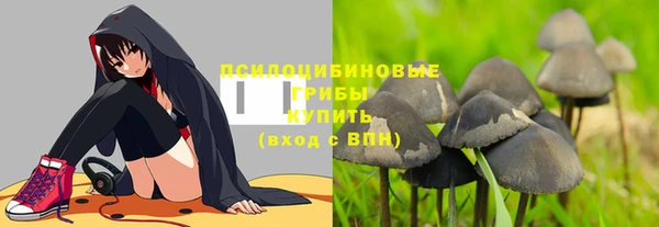 стаф Няндома
