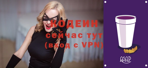 дмт Осташков