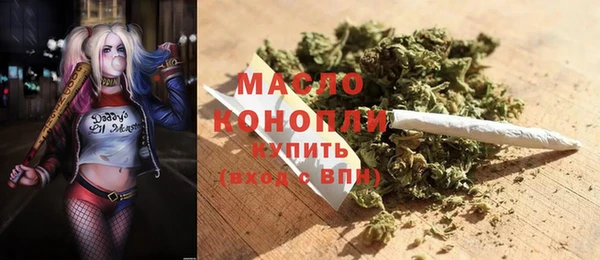 дмт Осташков